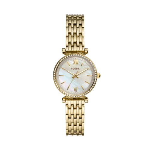 Ontdek de elegantie van het Fossil Carlie Mini ...