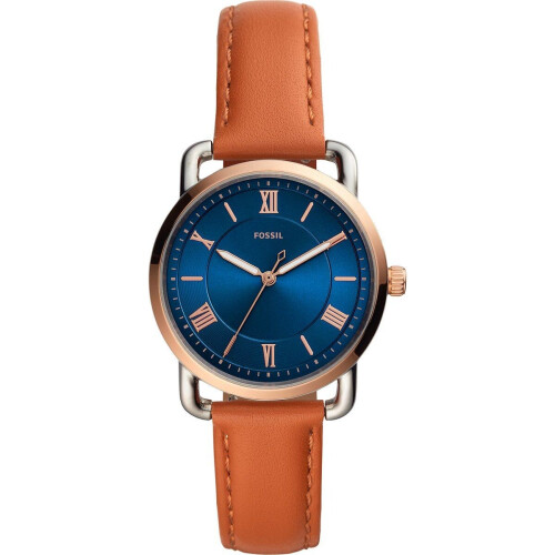 Ontdek de elegantie van het Fossil Copeland ES4825 ...