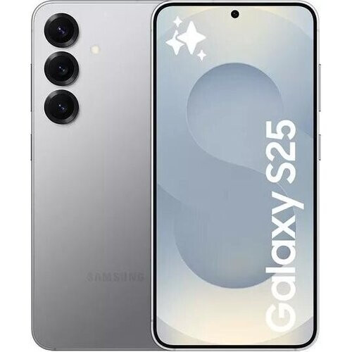 The Galaxy S25 brings Samsung’s flagship range ...