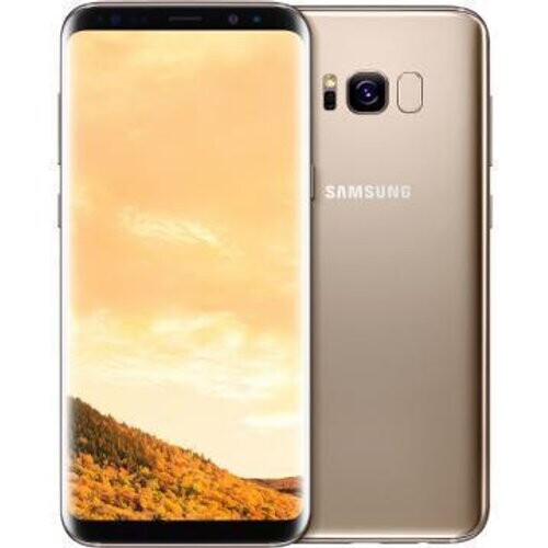 Galaxy S8 64 GB (Dual Sim) - Maple Gold - Unlocked ...