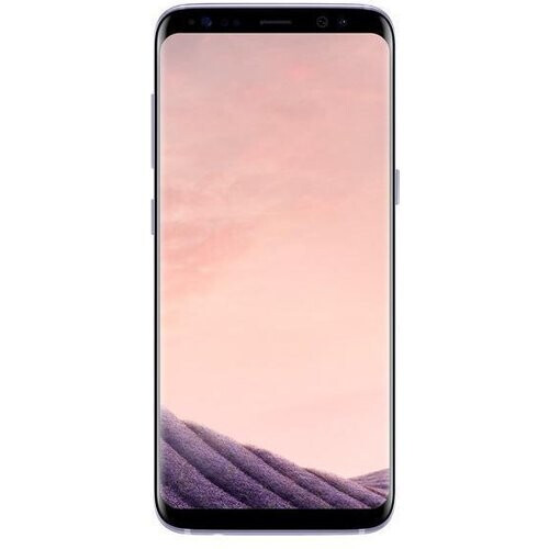 The Samsung Galaxy S8 is a flagship smartphone ...