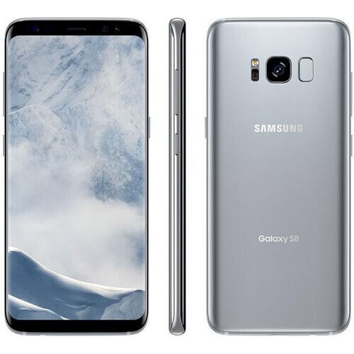 Samsung Galaxy S8 Plus 64 GB Dual Sim - Plateado ...