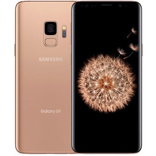 Galaxy S9+ 64 Go - Or - Débloqué ...