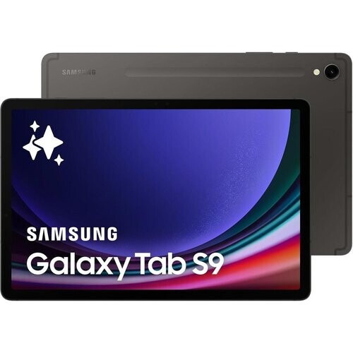 Galaxy Tab S9 256GB - Graphite - WiFi + 5G (12GB ...