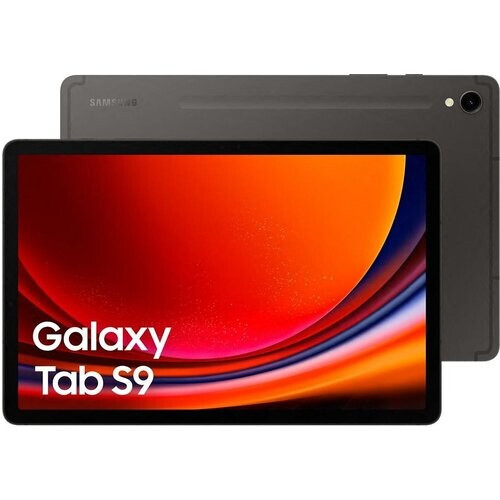 Galaxy Tab S9 256GB - Gris - WiFi ...