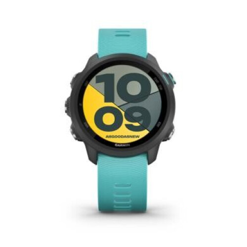 Garmin Forerunner 245 Music 42mm aquamarine ...