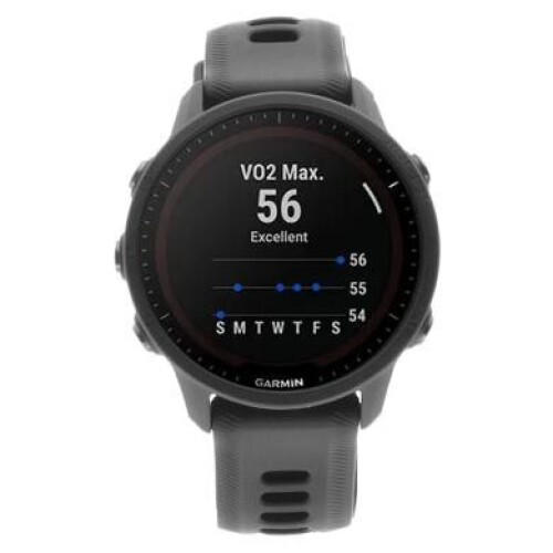 Garmin Forerunner 955 47mm Solar noir ...