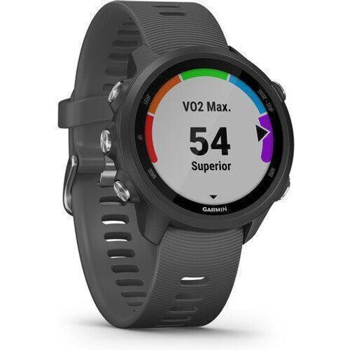 Watch Running GPS GARMIN Forerunner 245 - Gray ...