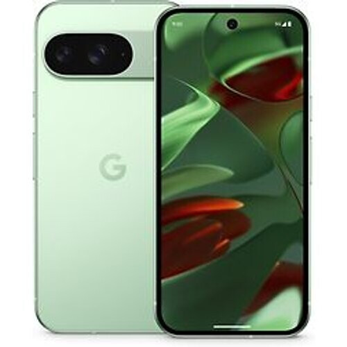 De Google Pixel 9 Dual SIM in de kleur wintergroen ...