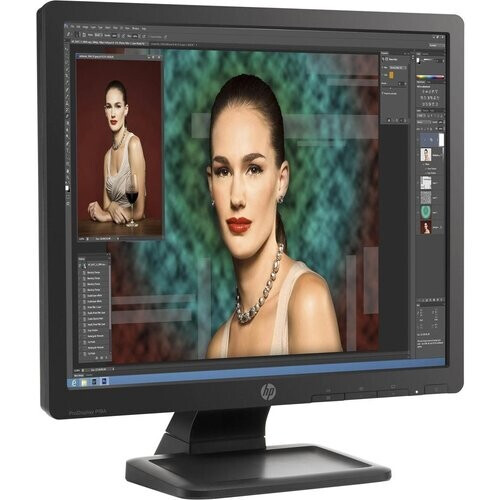 The black P19A 19" ProDisplay LED Backlit LCD ...