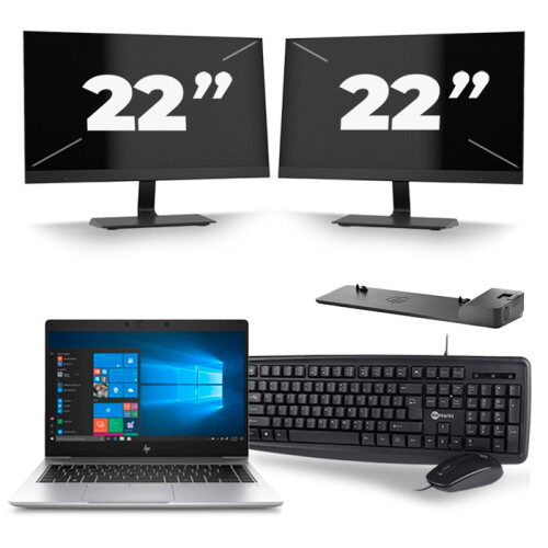 Frontend naam:HP EliteBook 745 G6 + 2x 22 inch ...