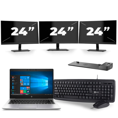 Frontend naam:HP EliteBook 745 G6 + 3x 24 inch ...