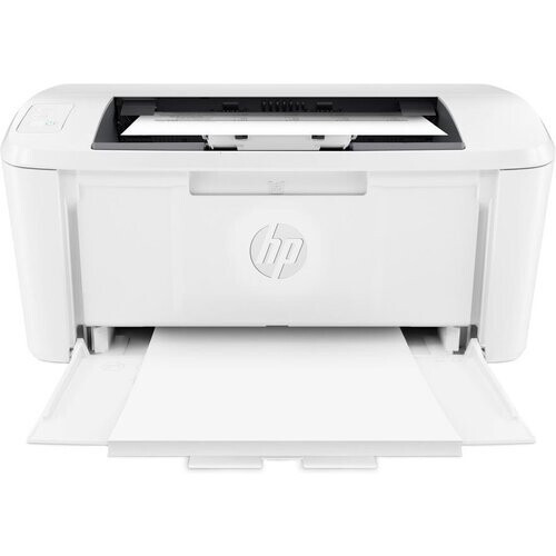 print features Resolution600 x 600 dpi DINA4 ...