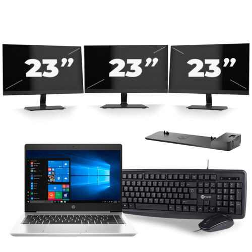 Frontend naam:HP ProBook 445 G7 + 3x 23 inch ...