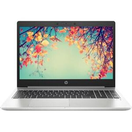 HP ProBook 455 G7 15" Ryzen 5 2,3 GHz - SSD 256 GB ...