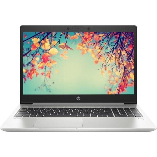 HP ProBook 455 G7 15" Ryzen 5 2,3 GHz - SSD 512 GB ...