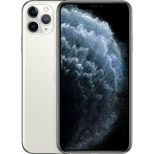 iPhone 11 Pro Max 256 GB - Silver - Unlocked ...