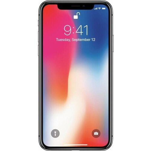 The iPhone X with 256GB storage in Space Gray is a ...