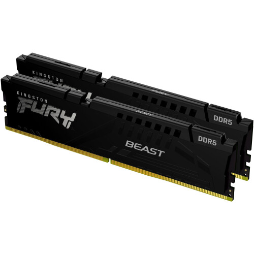 Ontdek de kracht van de Kingston Fury Beast ...