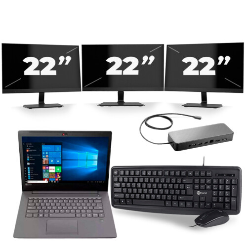 Frontend naam:Lenovo V330-14ARR + 3x 22 inch ...