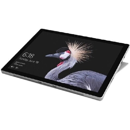 The Microsoft Surface Pro 5 boasts a 12.3" touch ...