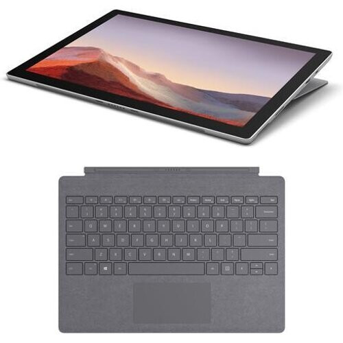 The platinum Microsoft 12.3" Multi-Touch Surface ...