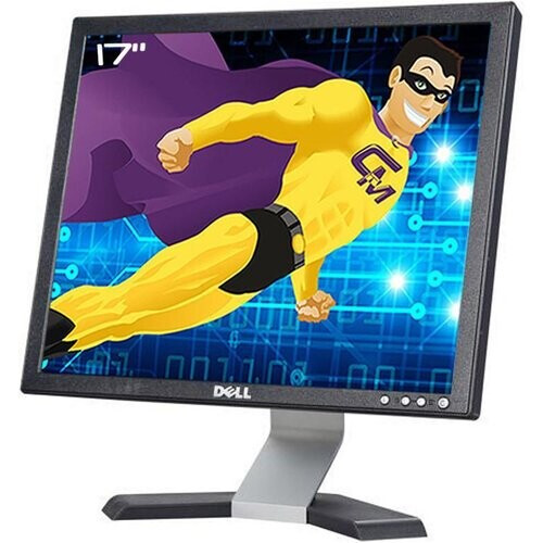 Monitor 17" LCD SXGA Dell E176FPF ...