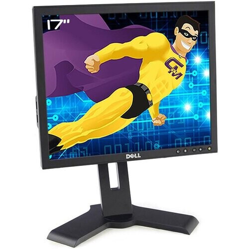 Monitor 17" LCD SXGA Dell P170SB ...