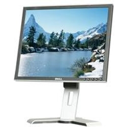 Pantalla 19" LCD HD Dell 1908FPC ...