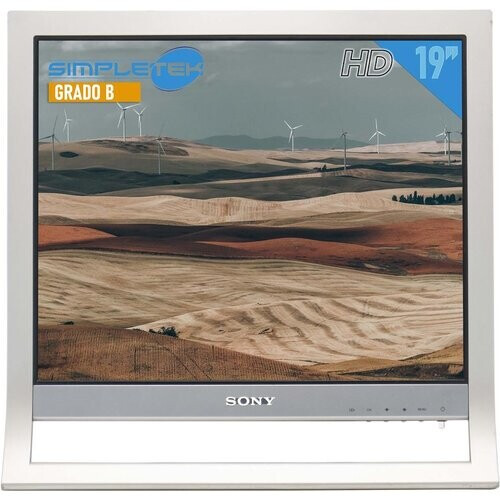 Monitor 19" LCD HD Sony SDM-HS95B ...