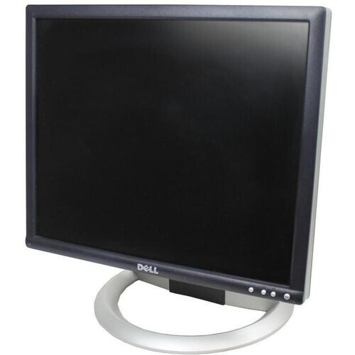 Pantalla TFT 19" Dell 1905FP ...