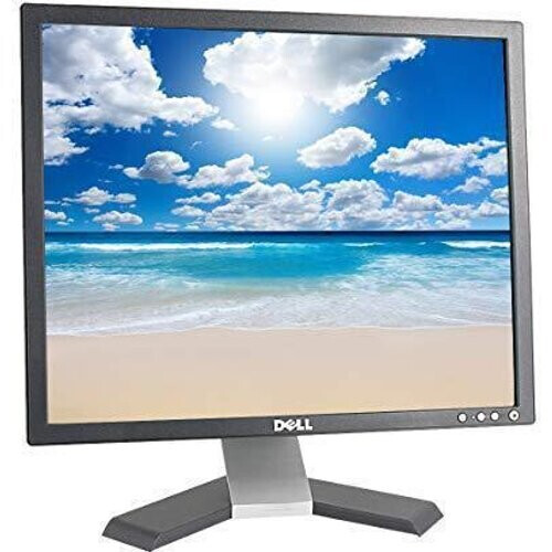 Monitor 19" LCD SXGA Dell E196FPB ...