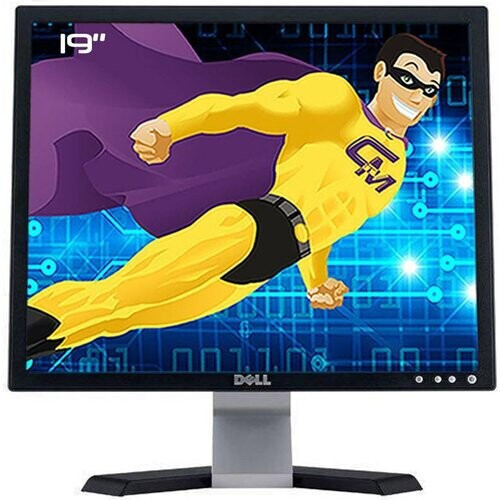 Monitor 19" LCD SXGA Dell E198FPB ...