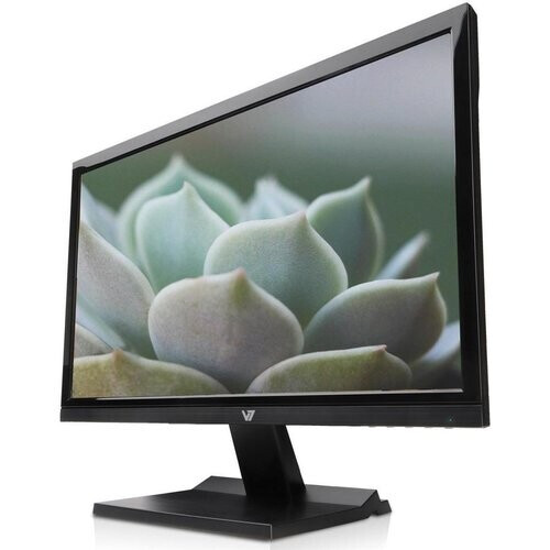 Monitor 19" LCD V7 Videoseven 1865M ...