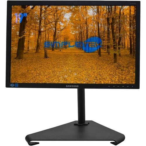 Monitor 19" LCD WXGA+ Samsung S19e450 ...