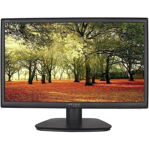 Monitor LCD 21.5 " - Hanns.G HE225DPBEstas ...