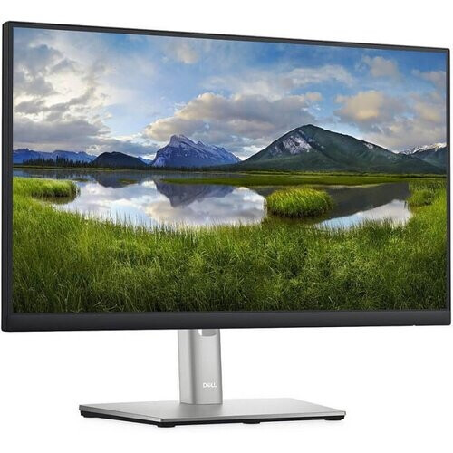 Monitor 22" LCD Dell P2222H ...