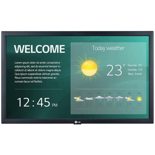 Monitor 22" LCD FHD LG 22SM3G ...