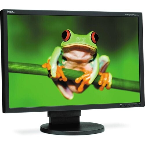 Monitor 22" LCD WSXGA+ Nec E222W-BK ...