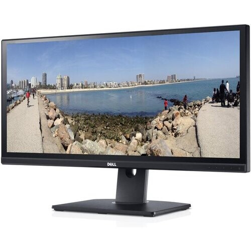 Monitor 29" LCD WFHD Dell U2913WMT ...