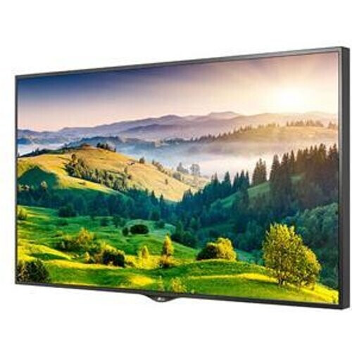 TV LG LED Full HD 1080p 124 cm 49xs2B-BB ...