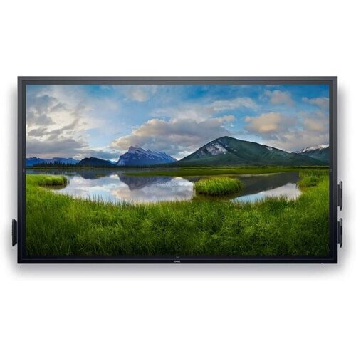 Monitor 55" LCD 4K ULTRA HD DELL-C5518QT ...