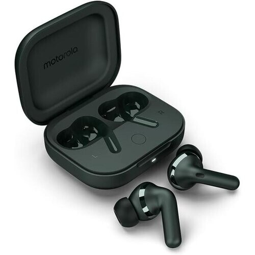 Motorola Moto Buds Plus Forest Gray Your favourite ...