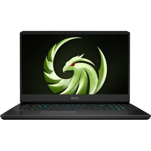 MSI Alpha 17 C7VG-011BE 17" 2 GHz - SSD 1000 GB - ...