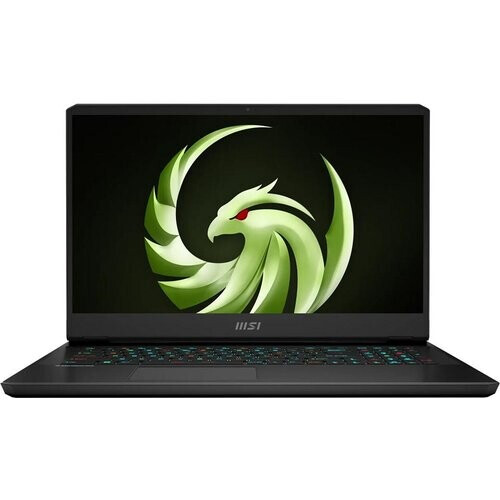 MSI Alpha 17 C7VG-014NEU 17-inch (2023) - AMD ...