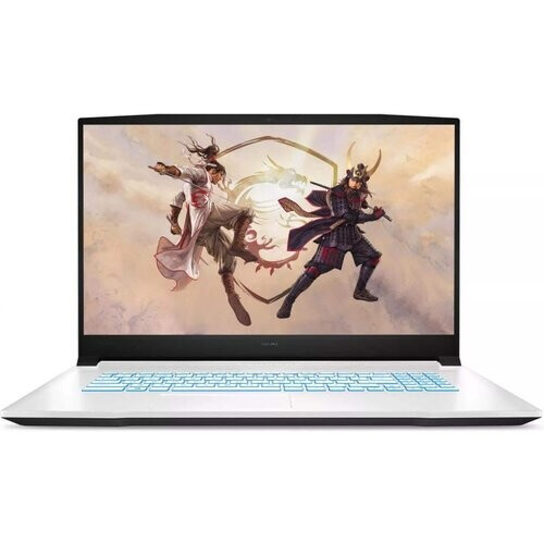 MSI Sword 17 A11UC-465FR 17" Core i5 2.7 GHz - SSD ...