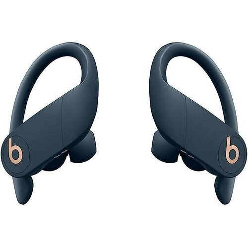 Beats Powerbeats Pro Totally Wireless In Earphones ...