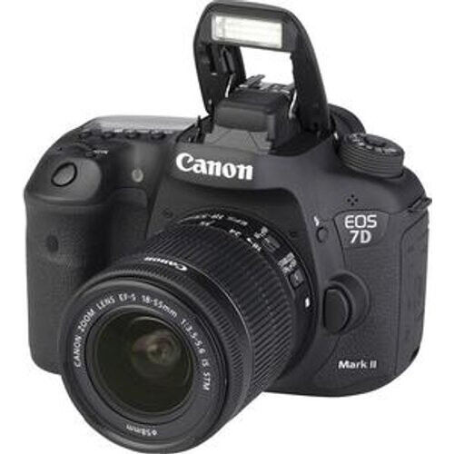 Cámara réflex Canon EOS 7D Mark II - Negro + ...