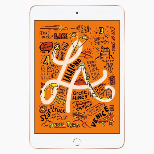 De iPad Mini 5 256 GB in het kort: ...