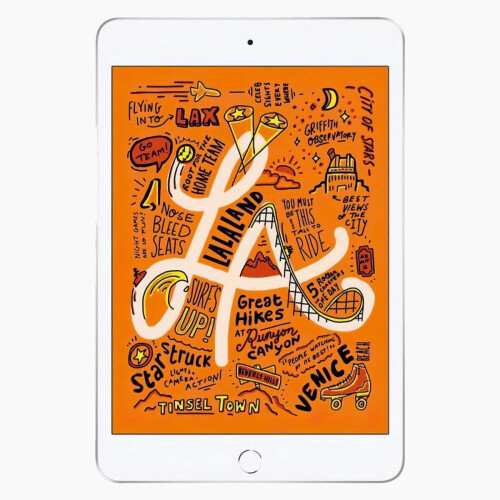 De iPad Mini 5 256 GB in het kort: ...